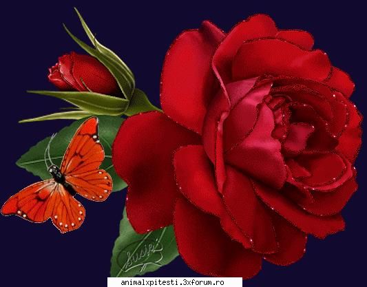 e serban de la animal x este super ce mai al plac mult de tot