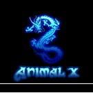 animal-x website lumea animalelor din braila asteapta tine...