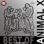 ce parere avetzi despre acest best off animal x ? lansare album best of.. until kow