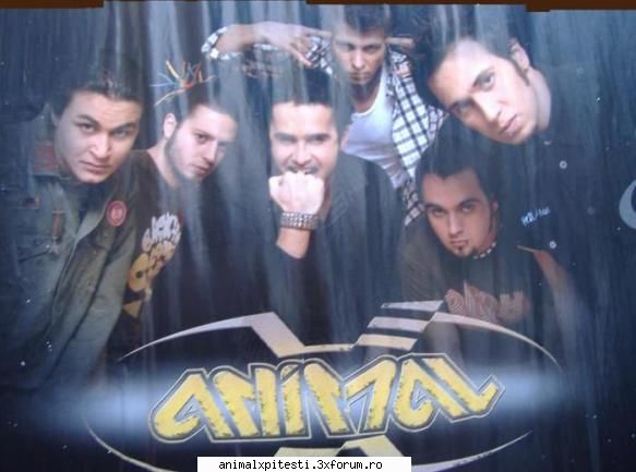 CUM VEDETI VOI O ZI CU ANIMAL X? - o zi cu AnimalX, super tare!!! ;) - Locul Fanilor