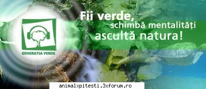 Implica-te - Dupa parerea mea...aceasta campanie se adreseaza - Inscriere