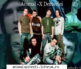 hiena e cel mai cool membru al trupei.voi c parere aveti??? parerea voastra despre hyena...