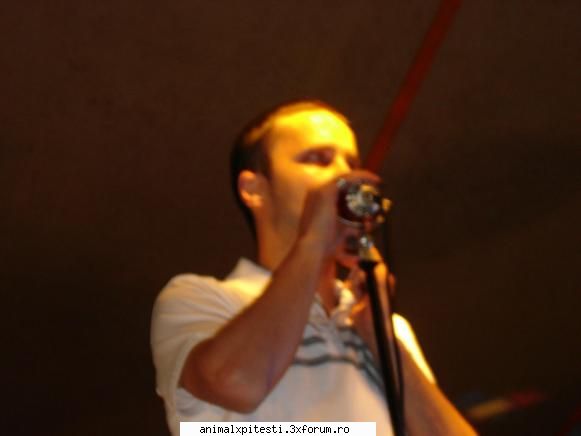 Parerea voastra despre Hyena... - NEWFANNY - Hiena