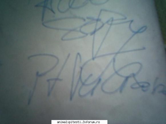 autografu meu de la sopy din 2004 parerea voastra despre soparla