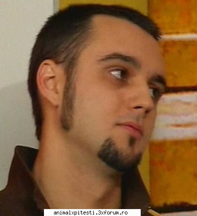 Parerea voastra despre Tzetze... - El este tzetze care da din betze - Tzetze care da din bete