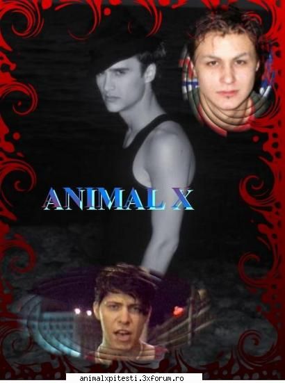 Poze noi cu Animal X... - super tare poza - Poze cu Animal-X