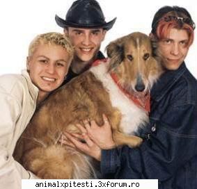 a 31 poza. :rotfl: poze noi cu animal x...