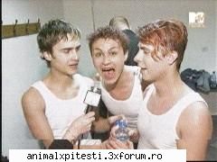 Poze noi cu Animal X... - NEWFANNY - Poze cu Animal-X