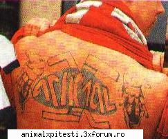 Poze noi cu Animal X... - NEWFANNY - Poze cu Animal-X