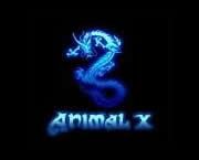 Video 24/24 - Pai...imi place mult "Mai mult ca oricand" ... :D - Animal X Video 24/24